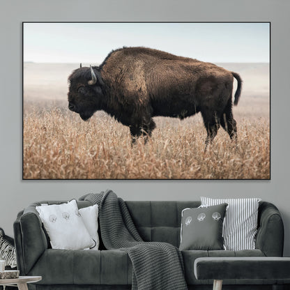 A lone bison stands in a vast prairie under a soft sky, evoking freedom and rustic charm for western or farmhouse inspired interiors.
