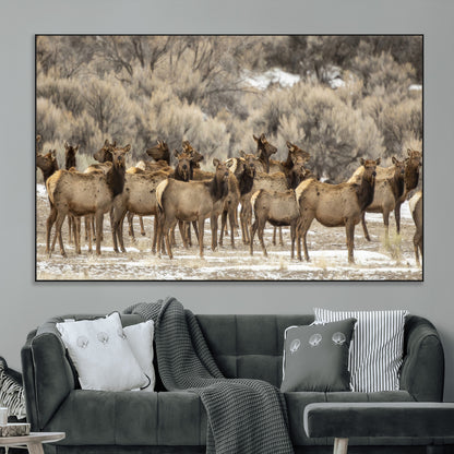 A large herd of elk standing in an open field with soft earthy tones, ideal for rustic lodge or western-themed home wall decor.