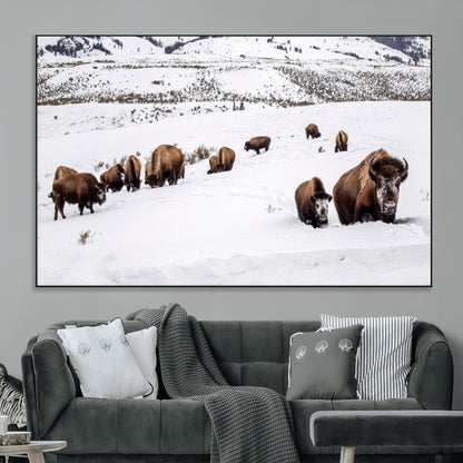 A herd of bison walking through deep snow in a mountain valley, perfect for rustic, cabin or western-themed wall decor.