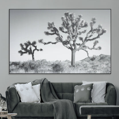 Black and white Joshua tree in a desert landscape with soft light and dry brush, perfect for rustic or minimalist home decor.