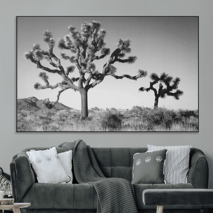 Black and white Joshua trees in a rugged desert landscape, creating a calm and minimalist feel for natural or rustic-themed interiors.