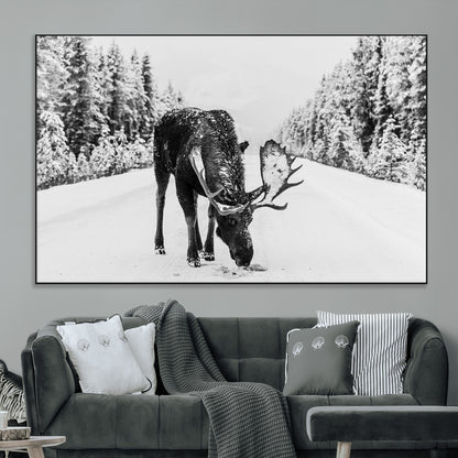 A majestic moose grazing in the snow-covered wilderness, surrounded by snow-covered trees, creating a peaceful winter scene.