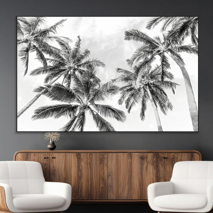 Black and white tropical palm trees viewed from below, swaying gently against a bright sky, creating a serene and elegant coastal atmosphere.