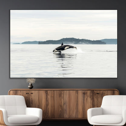 An orca jumping out of calm ocean waters with a misty island in the background, creating a serene and minimalist marine wildlife scene.