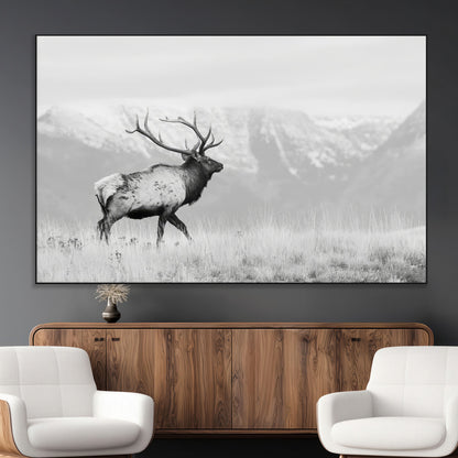 Black and white photograph of a majestic elk standing in a grassy field with snow-capped mountains in the background, creating a bold and rustic wilderness scene.