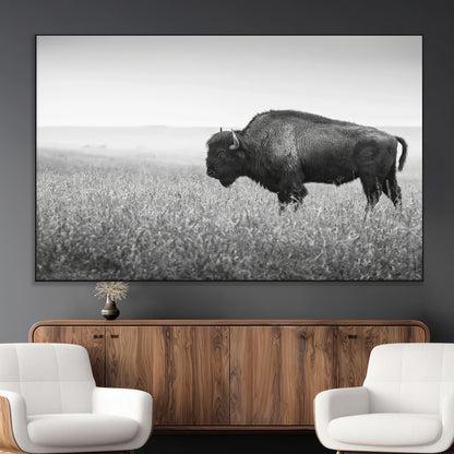 A black and white photograph of a majestic bison standing in a vast grassy prairie, evoking a sense of wilderness and strength.