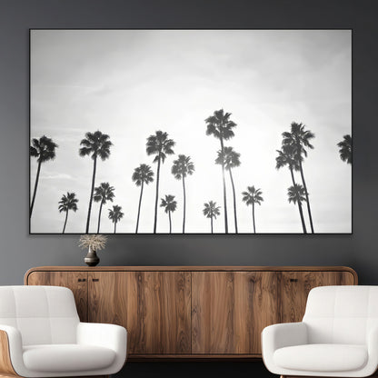 A black and white minimalist scene featuring tall palm trees silhouetted against a bright sky, creating a dreamy and timeless tropical aesthetic.