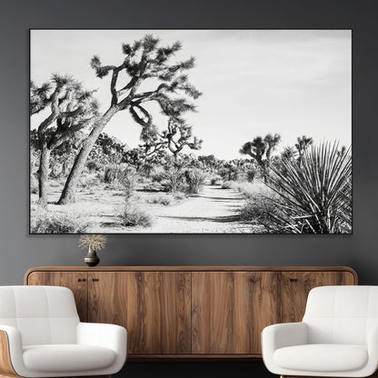 Canvas of a Joshua Tree forest in black and white tones, featuring a desert path and spiky vegetation, ideal for minimalist or rustic decor.