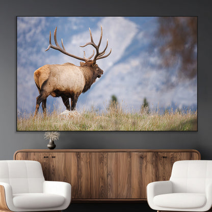 Elk with antlers standing on grass with mountain background, ideal for rustic, cabin, or lodge-inspired wall decor.