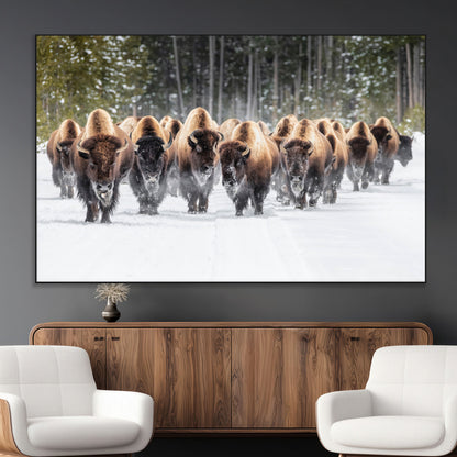 A herd of American bisons walking through a snowy forest path, perfect for rustic cabin or Western-themed wall decor.