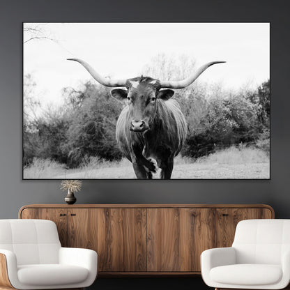 Black and white photo of a longhorn cow in a field, perfect for rustic farmhouse or western-themed interior wall decoration.