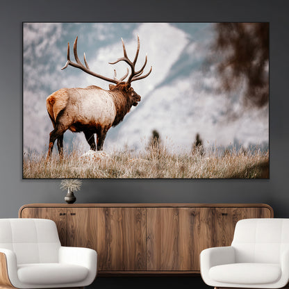 Majestic elk with large antlers standing in grass with snowy mountains in background, perfect for rustic cabin or lodge style decor.