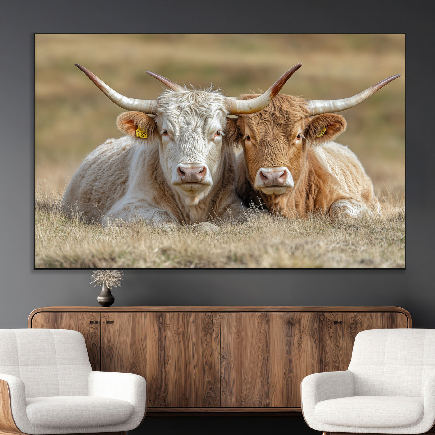 Two cows laying closely in a dry grassy field, captured in soft light, perfect for rustic farmhouse or western style home decor.