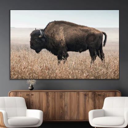 A lone bison stands in a vast prairie under a soft sky, evoking freedom and rustic charm for western or farmhouse inspired interiors.