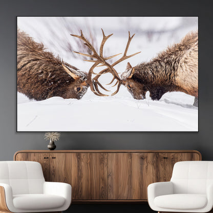 Two elk clashing antlers in a snowy forest, capturing raw power and wild energy, ideal for rustic cabin or lodge-style decor.