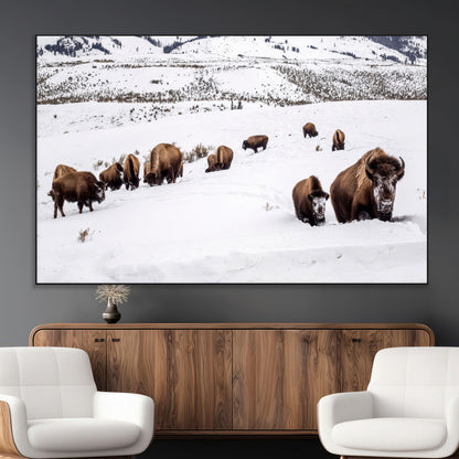 A herd of bison walking through deep snow in a mountain valley, perfect for rustic, cabin or western-themed wall decor.