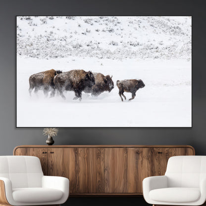 Bison herd running through a snowy open field with mountain backdrop, perfect for rustic or western-themed wall decoration.