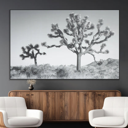 Black and white Joshua tree in a desert landscape with soft light and dry brush, perfect for rustic or minimalist home decor.