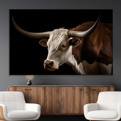 "Close-up of a brown and white longhorn cow with prominent curved horns against a black background."