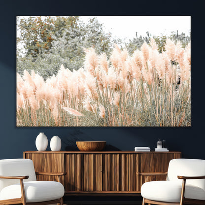 Soft pastel pampas grasses in a natural setting, ideal for neutral boho or rustic botanical-style interior wall decoration.
