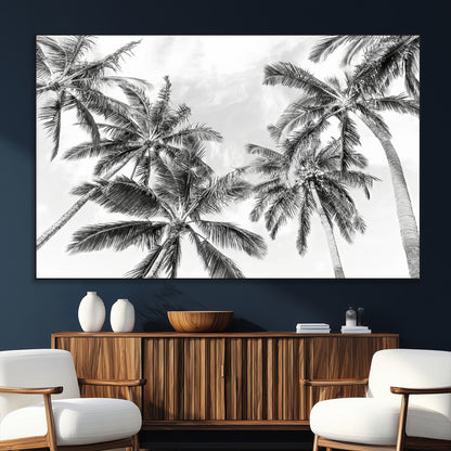 Black and white tropical palm trees viewed from below, swaying gently against a bright sky, creating a serene and elegant coastal atmosphere.