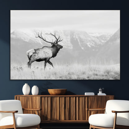 Black and white photograph of a majestic elk standing in a grassy field with snow-capped mountains in the background, creating a bold and rustic wilderness scene.