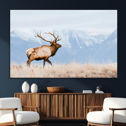 An elk walking on snowy grassland with majestic mountains in the background, ideal for rustic lodge or cabin wall decor.