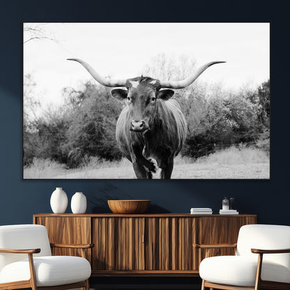Black and white photo of a longhorn cow in a field, perfect for rustic farmhouse or western-themed interior wall decoration.