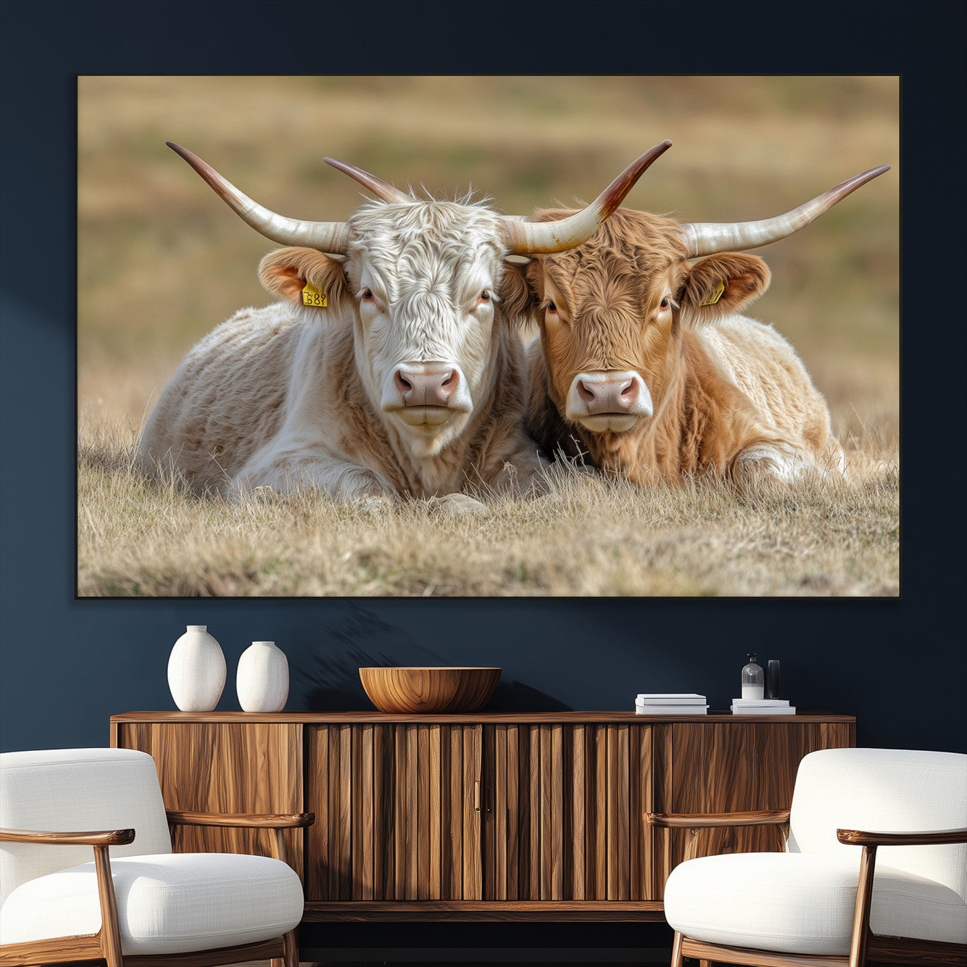 Two cows laying closely in a dry grassy field, captured in soft light, perfect for rustic farmhouse or western style home decor.