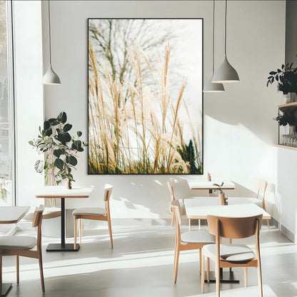 Soft beige pampas grass swaying in the breeze against a muted sky, creating a tranquil and minimalist botanical aesthetic.