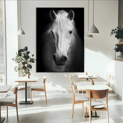 Large Wall Art White Horse on Black Background Canvas Print