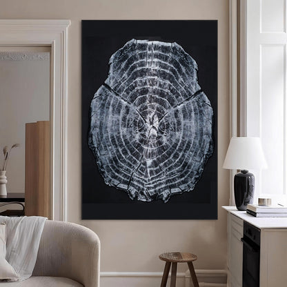Monochrome tree ring cross-section on black background, showing detailed growth lines, perfect for modern rustic or minimalist interiors. (