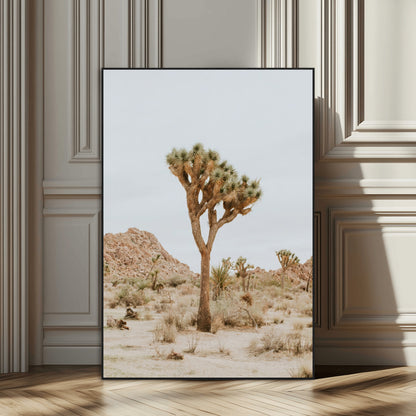 Canvas of a Joshua Tree in neutral desert tones under soft light, ideal for southwestern minimalist or rustic nature-inspired home decor.