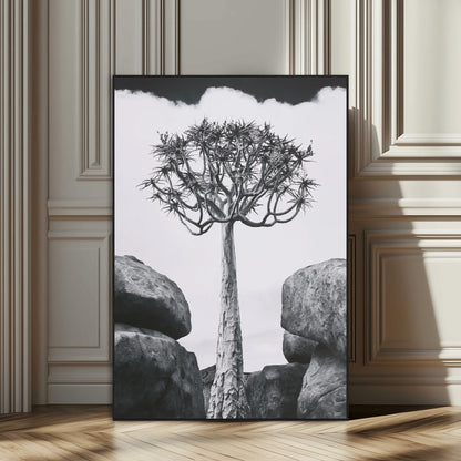 Tall desert tree in black and white, standing between large rocks, perfect for bold and minimalist nature-themed interior spaces.