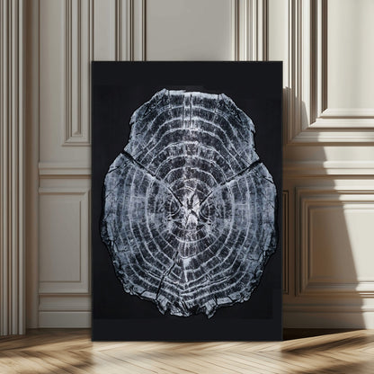 Monochrome tree ring cross-section on black background, showing detailed growth lines, perfect for modern rustic or minimalist interiors. (