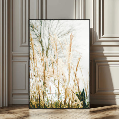 Soft beige pampas grass swaying in the breeze against a muted sky, creating a tranquil and minimalist botanical aesthetic.