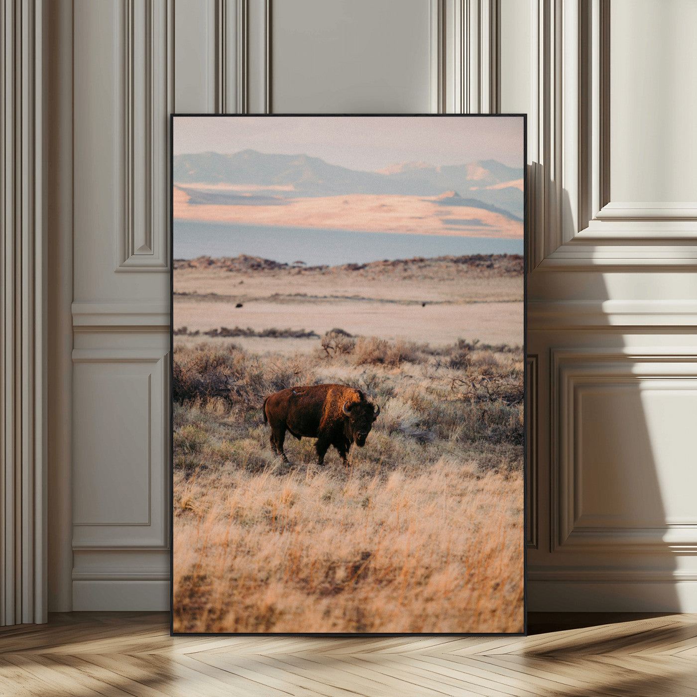 A solitary bison standing in golden prairie grass with distant mountains and soft sunset light, ideal for rustic, lodge, and western decor.
