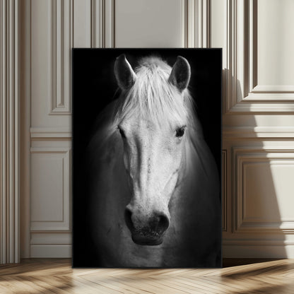 Large Wall Art White Horse on Black Background Canvas Print
