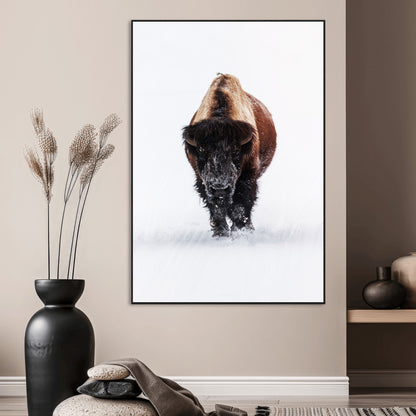 Front view of a strong bison walking in deep snow, isolated white background, perfect for rustic or lodge-style home decor.