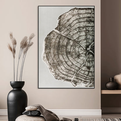 A close-up tree ring cross-section with neutral tones and organic texture, perfect for rustic, modern, or minimalist interior wall decor.