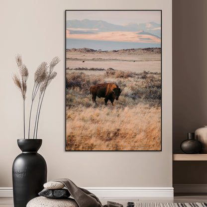 A solitary bison standing in golden prairie grass with distant mountains and soft sunset light, ideal for rustic, lodge, and western decor.