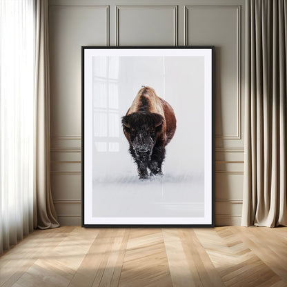 Front view of a strong bison walking in deep snow, isolated white background, perfect for rustic or lodge-style home decor.