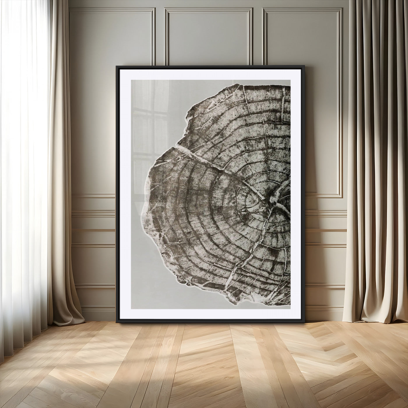 A close-up tree ring cross-section with neutral tones and organic texture, perfect for rustic, modern, or minimalist interior wall decor.