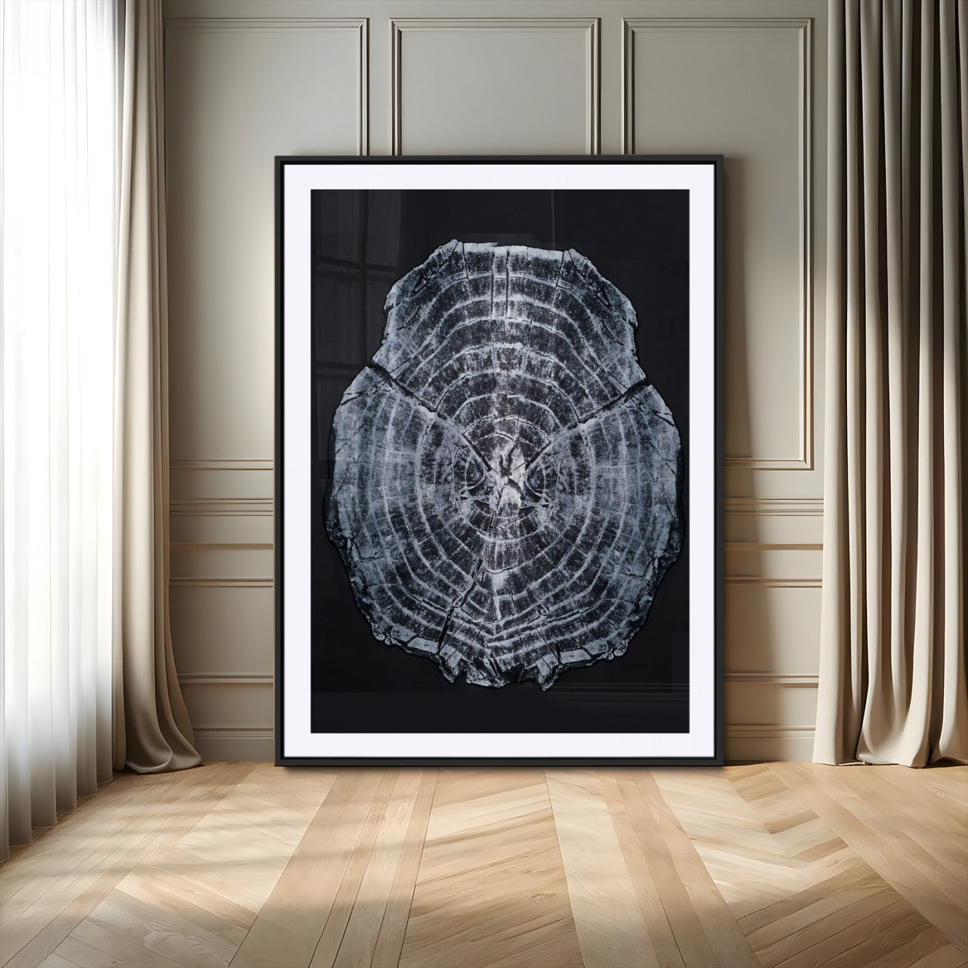 Monochrome tree ring cross-section on black background, showing detailed growth lines, perfect for modern rustic or minimalist interiors. (