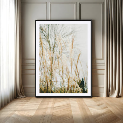 Soft beige pampas grass swaying in the breeze against a muted sky, creating a tranquil and minimalist botanical aesthetic.