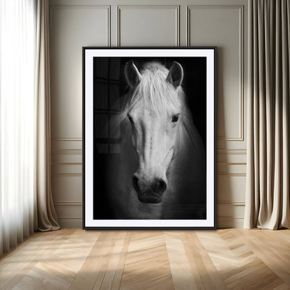 Large Wall Art White Horse on Black Background Canvas Print