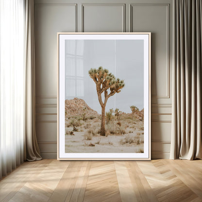 Canvas of a Joshua Tree in neutral desert tones under soft light, ideal for southwestern minimalist or rustic nature-inspired home decor.
