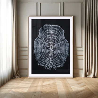 Monochrome tree ring cross-section on black background, showing detailed growth lines, perfect for modern rustic or minimalist interiors. (