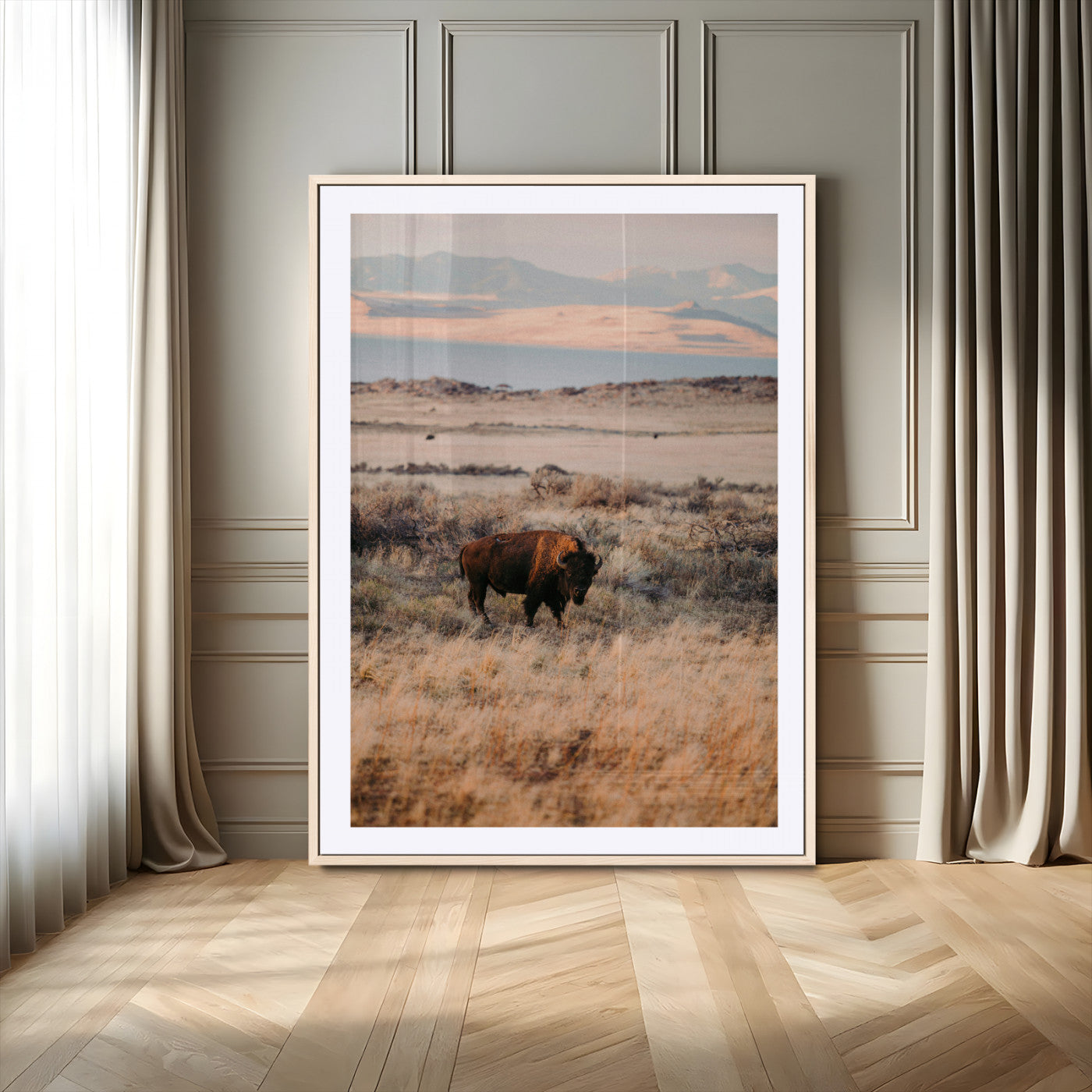 A solitary bison standing in golden prairie grass with distant mountains and soft sunset light, ideal for rustic, lodge, and western decor.