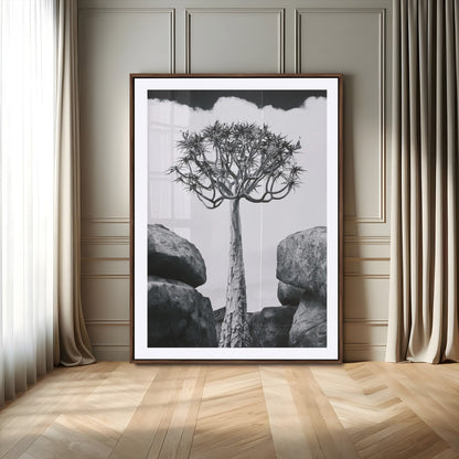Tall desert tree in black and white, standing between large rocks, perfect for bold and minimalist nature-themed interior spaces.